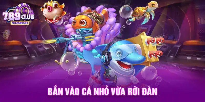 Bắn vào cá nhỏ vừa rời đàn