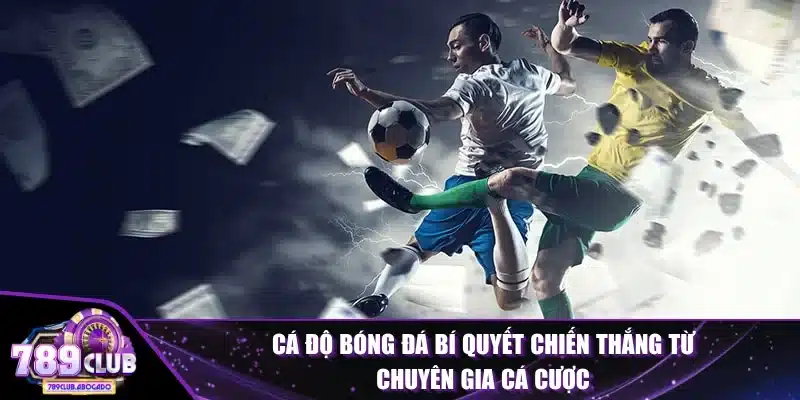 Cá Độ Bóng Đá