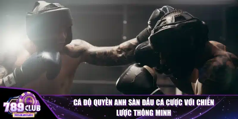 Cá Độ Quyền Anh
