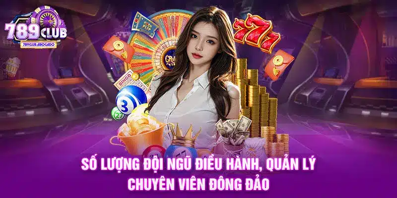 Số lượng đội ngũ điều hành, quản lý, chuyên viên đông đảo